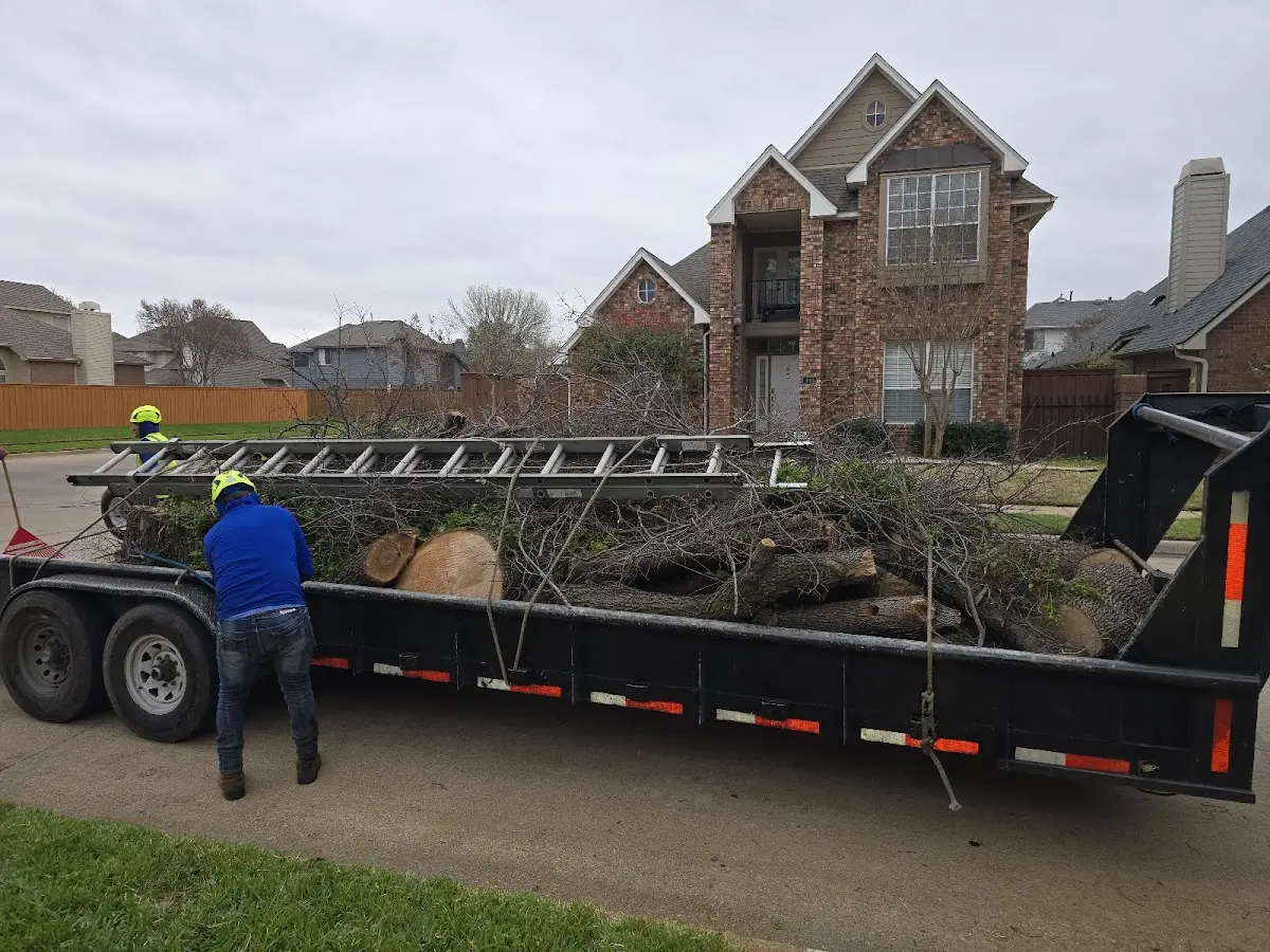 Expert Lot Clearing with proper safety equipment in Lafayette